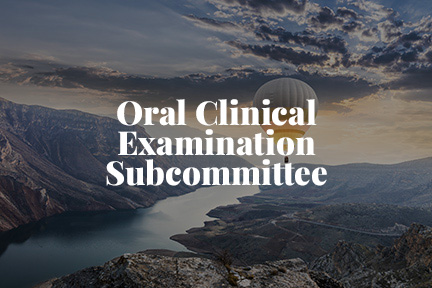 2022 Oral Clinical Examination Subcommittee