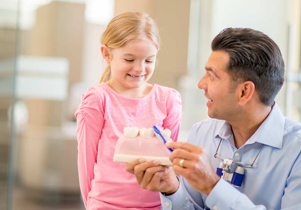 A dentist is holding a toothbrush a tooth model - he is showing a cute little girl how to brush her teeth after her appointment.